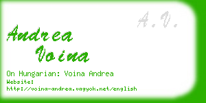 andrea voina business card